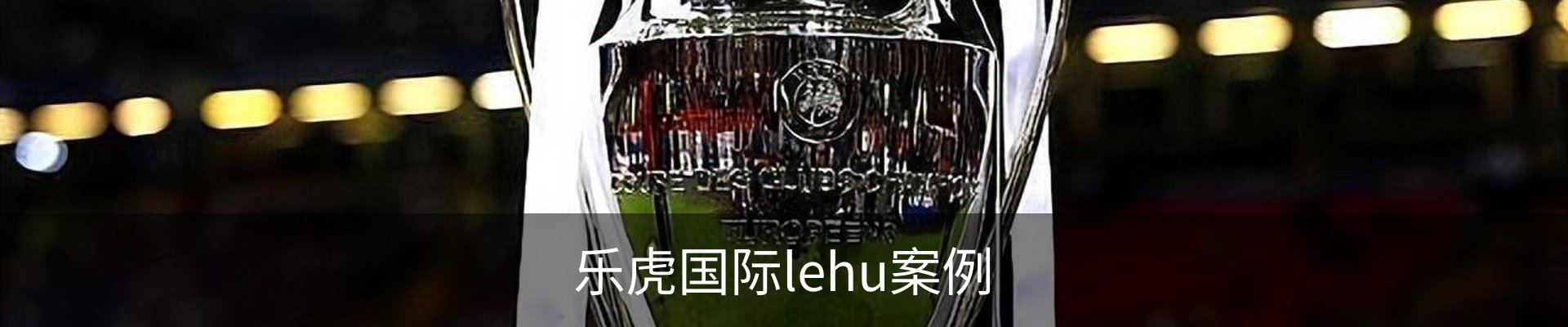 乐虎国际lehu案例